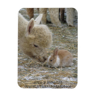 Alpaca en Bunny Kisses! Magneet