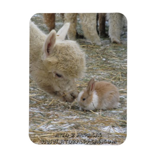 Alpaca en Bunny Kisses! Magneet (Verticaal)