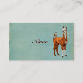 ALPACA- EN OWL-Visitekaartje Visitekaartje (Achterkant)