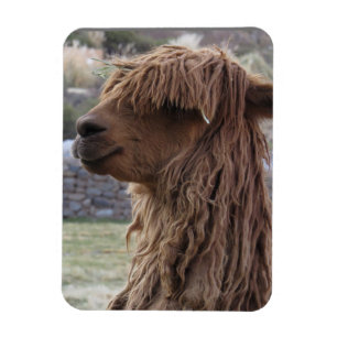 ALPACA FLEXIBLE MAGNET MAGNEET