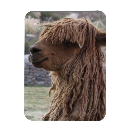 ALPACA FLEXIBLE MAGNET MAGNEET (Verticaal)