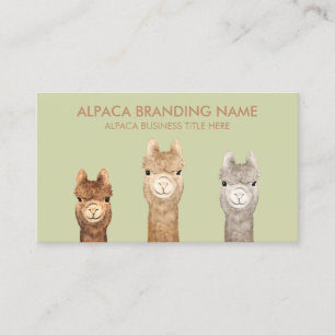 Alpaca Fokkerij Visitekaartje