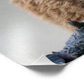 Alpaca Foto Afdruk (Hoek)