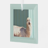 Alpaca-foto-ornament glas ornament (Voorkant links)