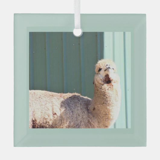 Alpaca-foto-ornament glas ornament (Voorkant)