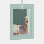 Alpaca-foto-ornament glas ornament (Voorkant Rechts)