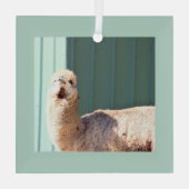 Alpaca-foto-ornament glas ornament (Achterkant)