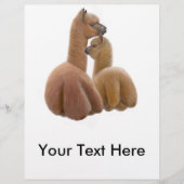 Alpaca Friends Flyer (Voorkant)