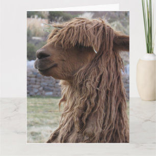 ALPACA FUNNY BIRTHDAY WENSKAART KAART