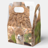 Alpaca geschenkdoos bedankdoosjes (Geopend)