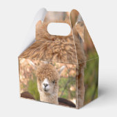 Alpaca geschenkdoos bedankdoosjes (Voorkant Zijde)