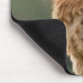 Alpaca-glimlach-Muismat Muismat (Hoek)