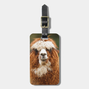 Alpaca glimlacht bagagelabel