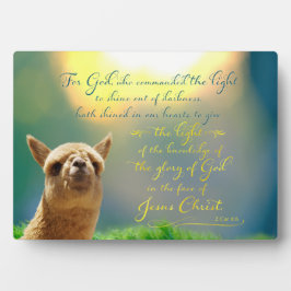 Alpaca Gold Blauwgroen Bijbel Citaat Easel Plaque Fotoplaat