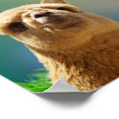 Alpaca Gold Blauwgroen Bijbelprijsopgave Poster (Hoek)