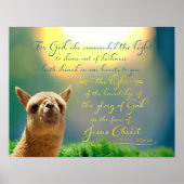 Alpaca Gold Blauwgroen Bijbelprijsopgave Poster (Voorkant)