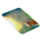 Alpaca Gold Blauwgroen Bijbelvers Fotomagneet Magneet (Rechterzijde)