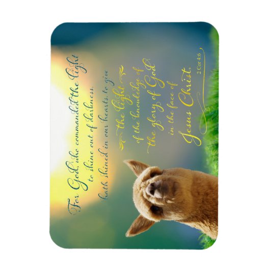 Alpaca Gold Blauwgroen Bijbelvers Fotomagneet Magneet (Verticaal)