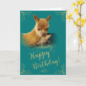 Alpaca Gold Hay Blauwgroen Verjaardag Kaart (Gele Bloem)