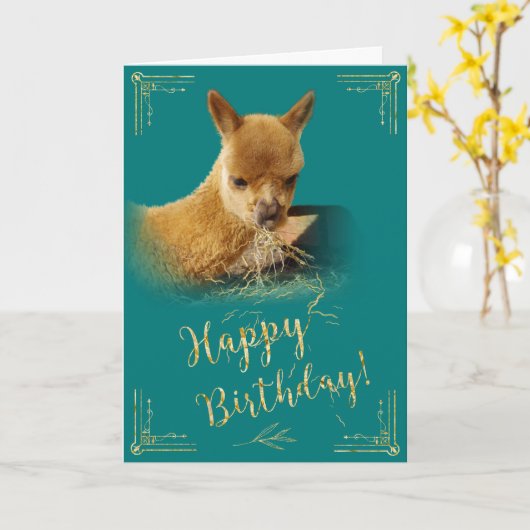 Alpaca Gold Hay Blauwgroen Verjaardag Kaart (Gele Bloem)