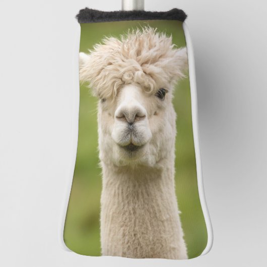 ALPACA GRAPPIG GOLFHOOFD PUTTER HOESJE GOLFHEADCOVER (Draai 90)