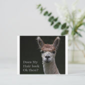 Alpaca grappige haarstijl briefkaart (Staand voorkant)