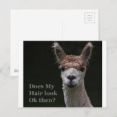 Alpaca grappige haarstijl briefkaart (Voorkant / Achterkant)