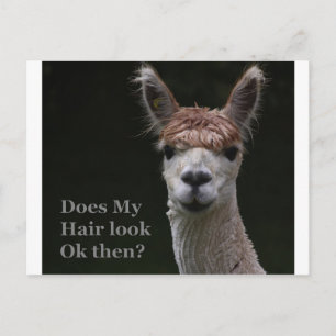 Alpaca grappige haarstijl briefkaart
