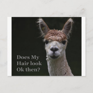 Alpaca grappige haarstijl briefkaart