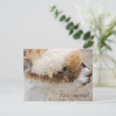 Alpaca Greetings. Briefkaart (Staand voorkant)