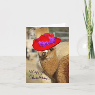 Alpaca Happy Birthday-kaarten Kaart