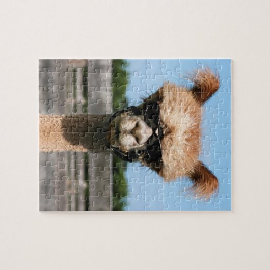 Alpaca Head of PR Legpuzzel (Horizontaal)