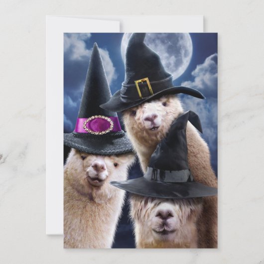 Alpaca Heksen Kaart (Voorkant)