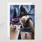 Alpaca Heksen Kaart (Voorkant / Achterkant)