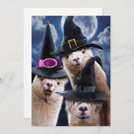 Alpaca Heksen Kaart (Voorkant / Achterkant)