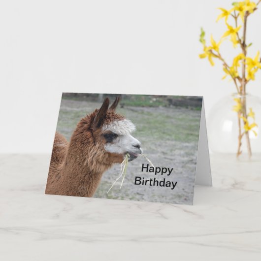 Alpaca Hooibalen Dier Foto Verjaardag Kaart (Gele Bloem)