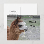 Alpaca Hooit Eetend Dier Foto Bedankt Briefkaart (Voorkant / Achterkant)