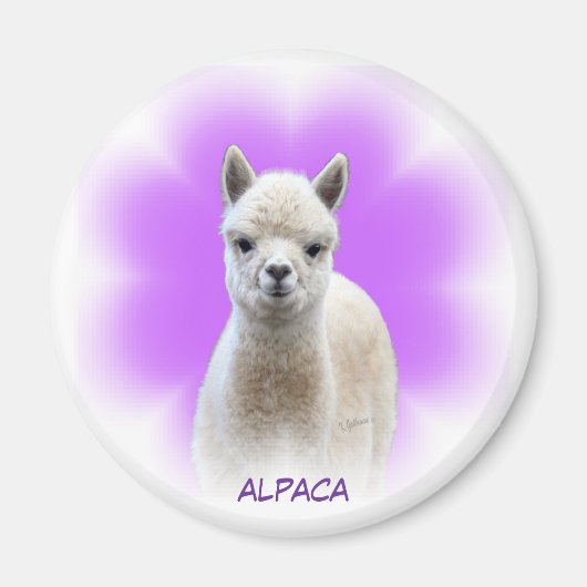 Alpaca Hope Magnet (Voorkant)