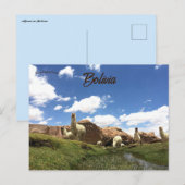 Alpaca in Bolivia Briefkaart (Voorkant / Achterkant)