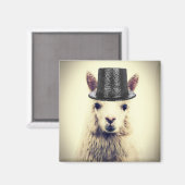 Alpaca in een hoge hoed magneet (Voorkant / Achterkant)