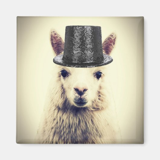 Alpaca in een hoge hoed magneet (Voorkant)