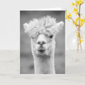Alpaca in zwart en wit, Verjaardag Kaart (Gele Bloem)