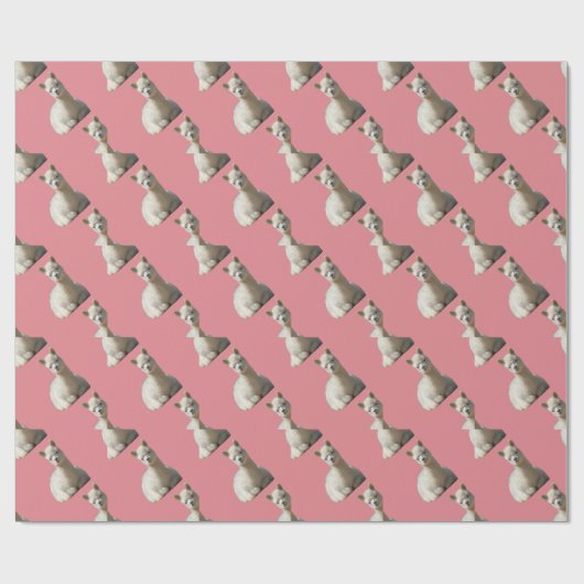 Alpaca inpakpapier voor meisje (Vlak)