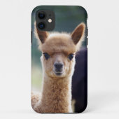 Alpaca iPhone 5 Hoesjes (Achterkant)