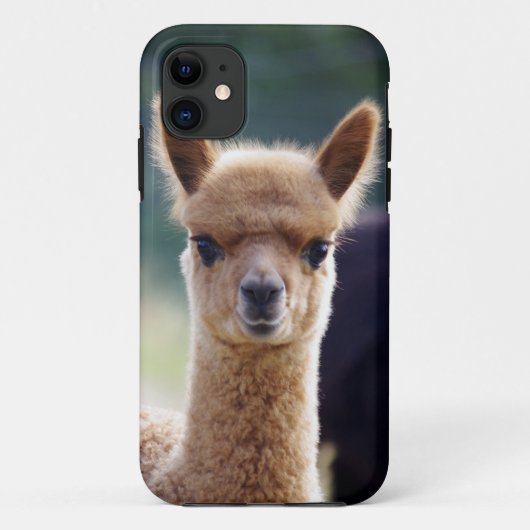 Alpaca iPhone 5 Hoesjes (Achterkant)