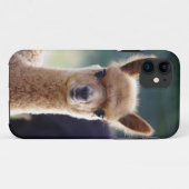 Alpaca iPhone 5 Hoesjes (Achterkant (horizontaal))
