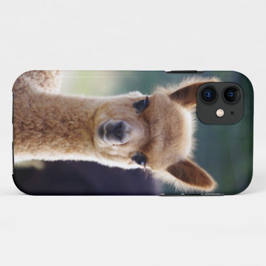 Alpaca iPhone 5 Hoesjes (Achterkant (horizontaal))