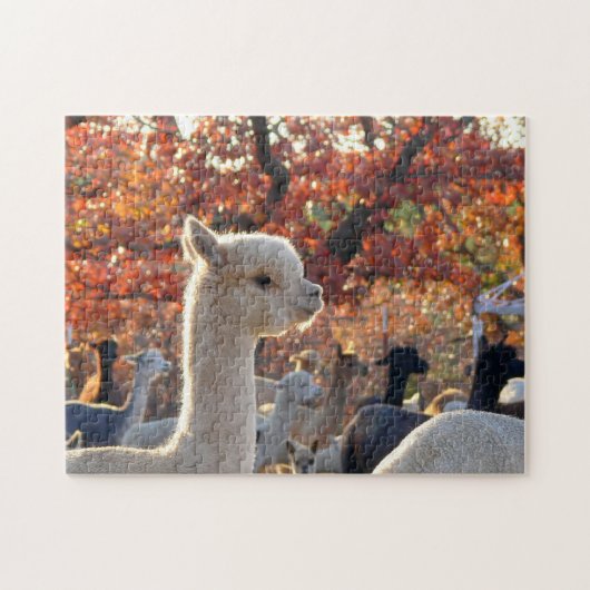 Alpaca Jigzaag Puzzle Legpuzzel (Horizontaal)