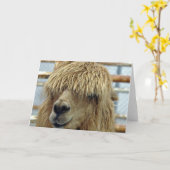 Alpaca Kaart (Gele Bloem)