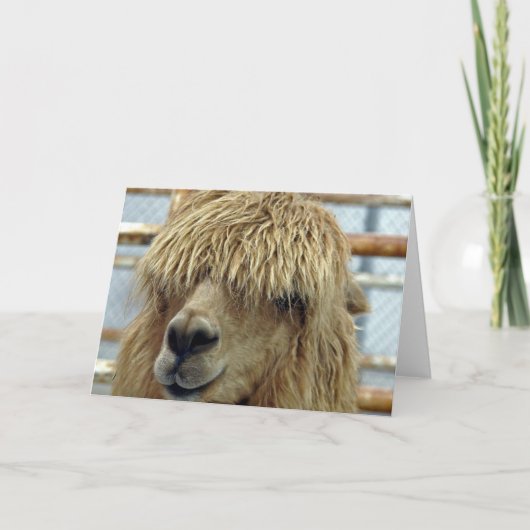 Alpaca Kaart (Voorkant)